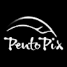 PentoPix logo